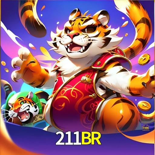  211BR